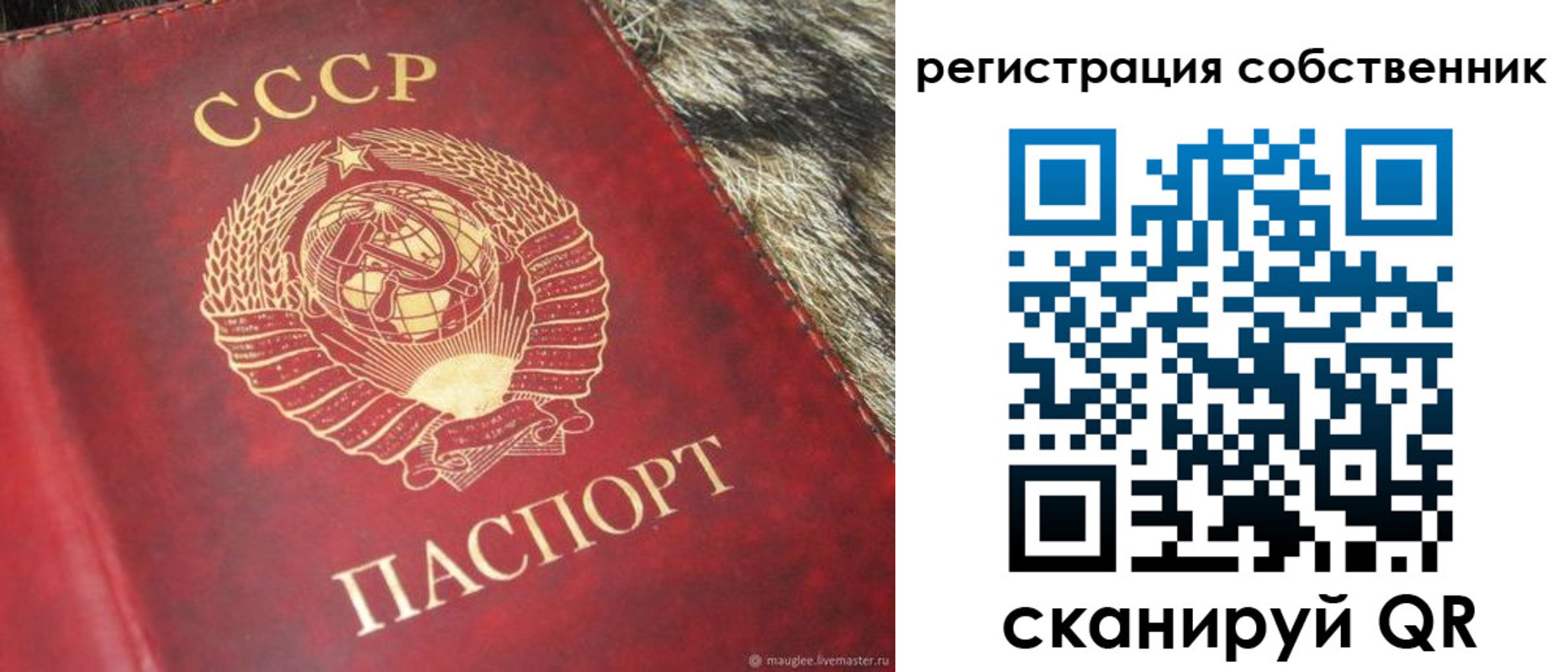 временная регистрация надежно в Далматово